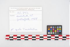 Foto von Keramikkonvolut (NHMW-PRAE-085792)